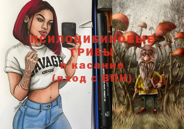 PSILOCYBIN Красноперекопск