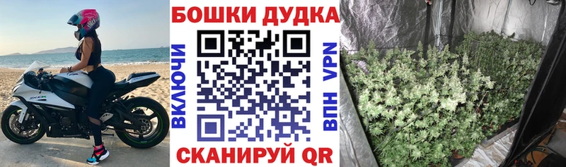 МАРИХУАНА OG Kush  Купить где  Тюмень 